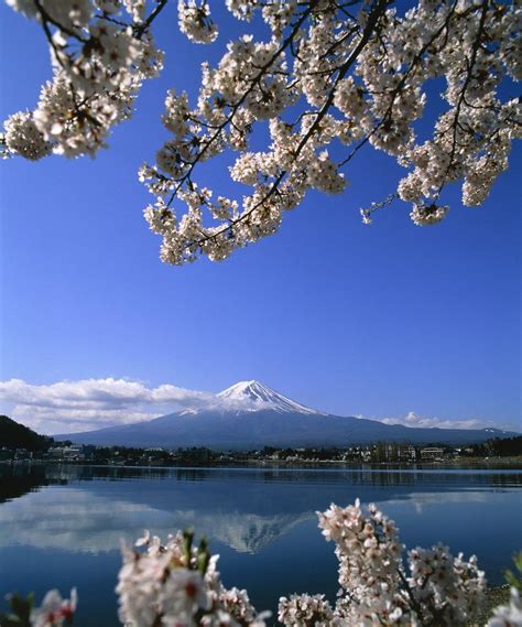 Japan: Mount Fuji and Lake Kawaguchi posters & prints by Corbis