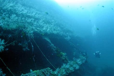 HMS-Repulse-Tec-Wreck - Diving Tioman Island in Malaysia