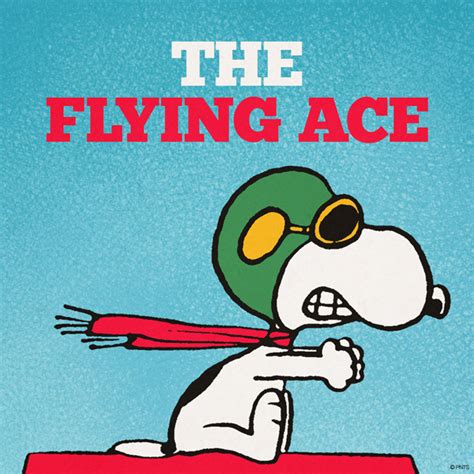 The Flying Ace | Flying ace snoopy, Charlie brown and snoopy, Snoopy love