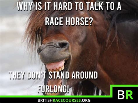 Horse Racing Memes - Funny Racing Memes