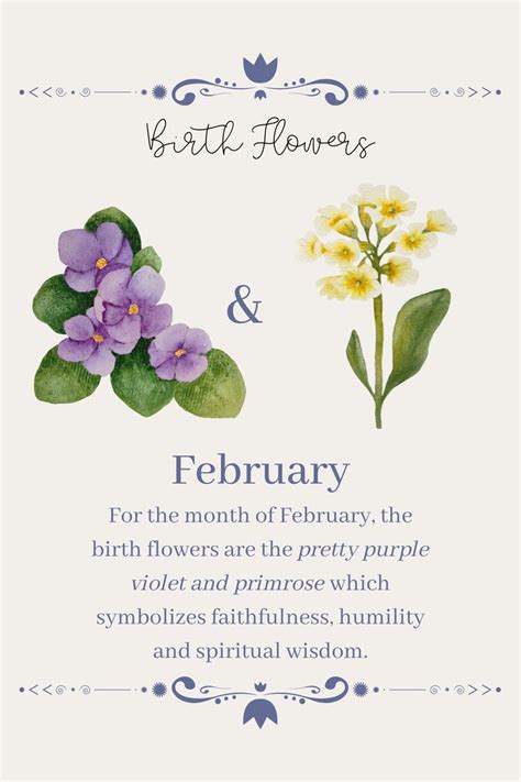 Celebrate February with the Beautiful Birth Flowers