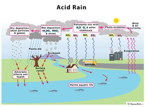 Acid Rain Formation