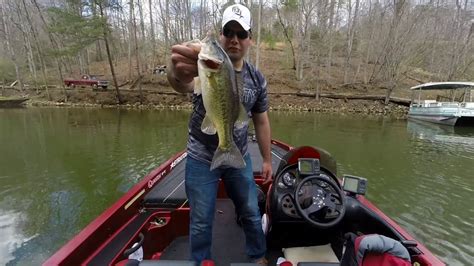 Prespawn Bass Fishing on Smith Mountain Lake - YouTube