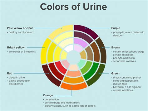 What Does the Colour of Your Urine Mean?