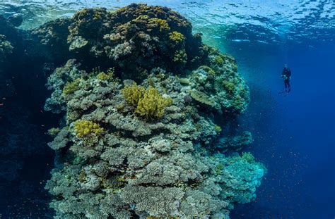 Underwater Rock Formations