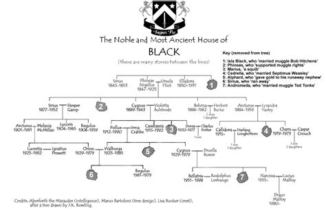 Black Family Tree | Genealogia, Alberi genealogici, Harry potter