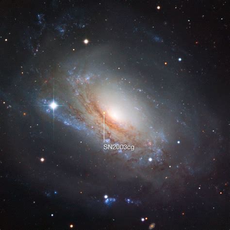 Supernova 2003cg in the galaxy NGC 3169 | ESO