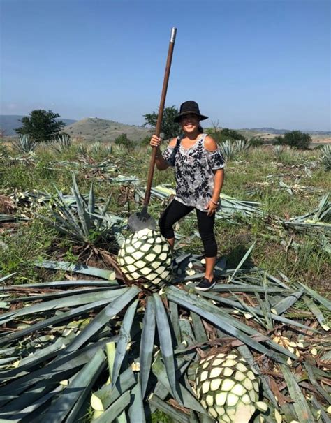 How Tequila Is Made: From Agave Field to Your Glass – Familia Kitchen