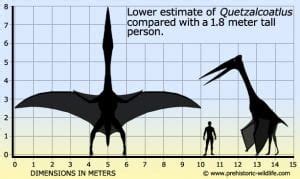 quetzalcoatlus-size - Adventure Experience