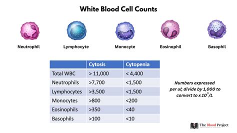 White Blood Cell Counts - Cheat Sheet • The Blood Project