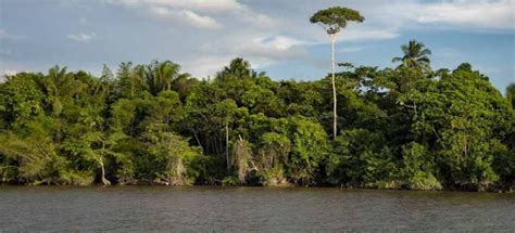 Italian firm helping Guyana develop tourism action plan for Essequibo ...