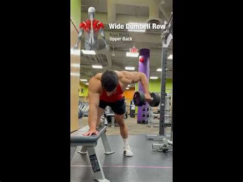 Build a BIGGER Back with THESE Dumbbell Row Variations - YouTube