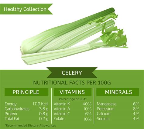 13 Different Types of Celery - Who Knew, Right?