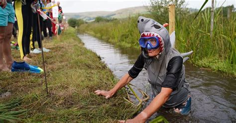 World Bog Snorkelling Championships 2022: The best pictures as crowds ...