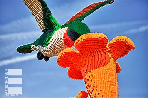 LEGO Hummingbird and Flower | Diy garden projects, Garden projects, Diy ...