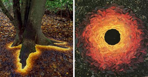 Magical Land Art By Andy Goldsworthy | Bored Panda