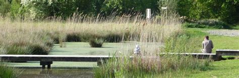 Exceptional Ecological Park Reconnects Children With Nature - Land8