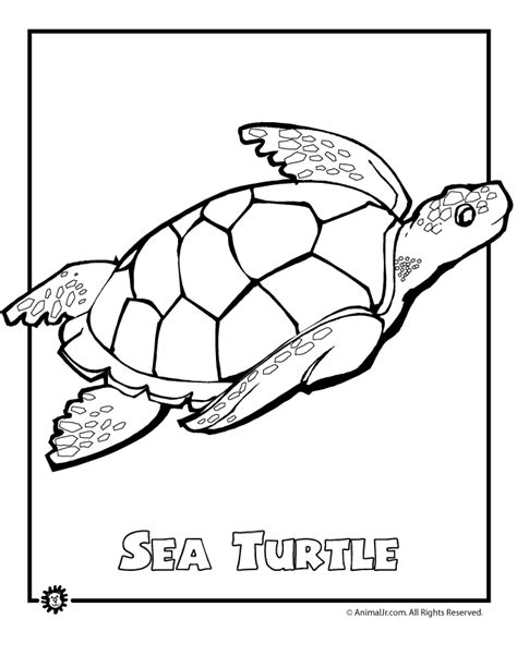 Coloring Pages Of Sea Animals - Coloring Home