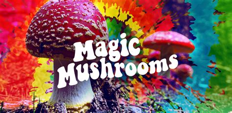 The enlightening positive effects of magic mushrooms