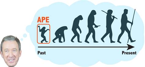 If we evolved from apes, why are there still apes? – ScIU