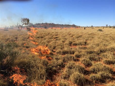 AUSTRALIA FIRE-STICK FARMING - International Association of Wildland Fire