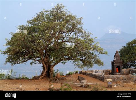 An old temple at Raigad Fort, Maharashtra, India Stock Photo - Alamy