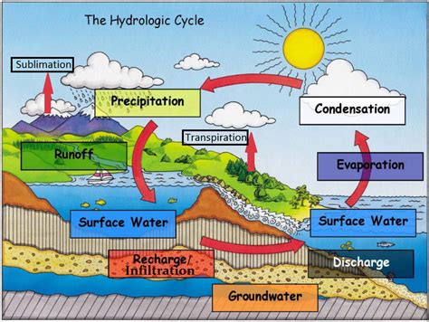 U6.S1.B1: Water Cycle - Earth Science