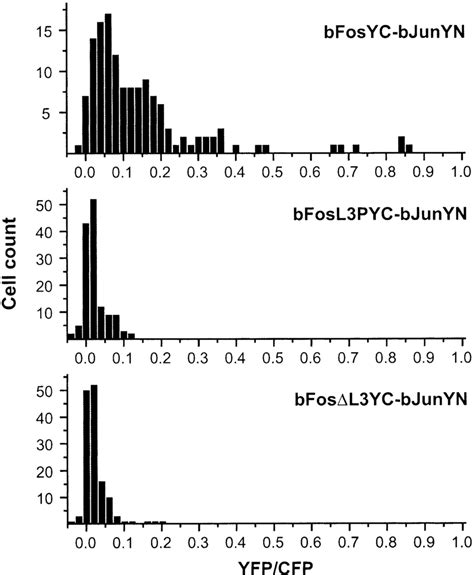 Effects of Leucine Zipper Mutations on the Efficiencies of Fluorescence ...