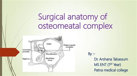 Surgical anatomy of osteomeatal complex