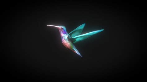 Hummingbird 3D models - Sketchfab