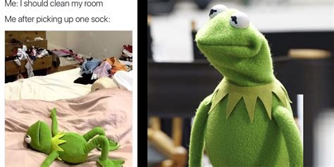 Muppets: 10 Funniest Kermit The Frog Memes