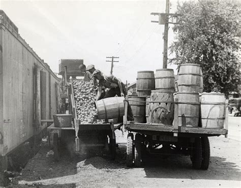 Department of Agriculture Archives Showcase Freehold's Farming History ...