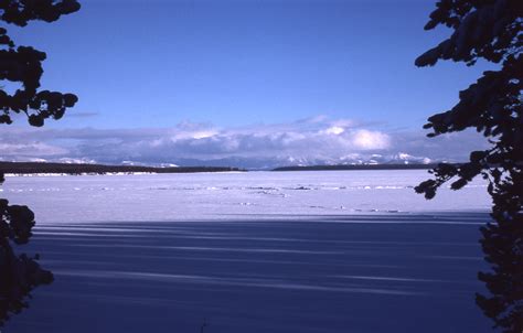 Yellowstone Digital Slide File