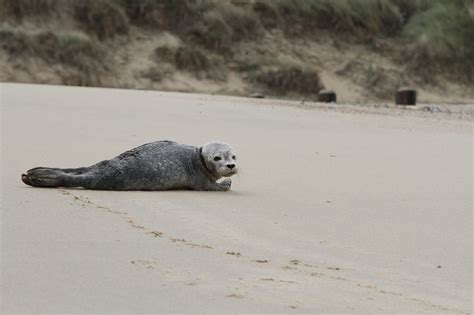 10 Best Coastal Walks In Norfolk To Do - Backpackingman