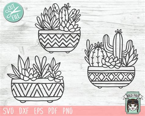 Cactus Succulent Planter SVG Cut File - So Fontsy