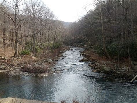 Savage River State Forest, Grantsville, MD - GPS, Campsites, Rates ...