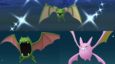 NEW SHINY ZUBAT, GOLBAT, AND CROBAT IN POKEMON GO!!! - YouTube