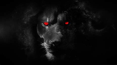 Lion Eyes Wallpapers - Wallpaper Cave