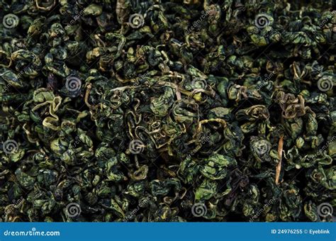 Sweet tea vine stock image. Image of fresh, leaf, jiaogulan - 24976255