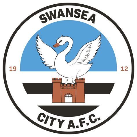 Swansea City complete signing of Ronald : r/swanseacity