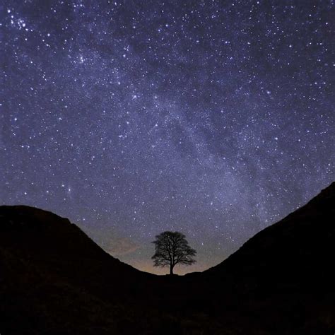 Sycamore Gap, Hadrian's Wall, on a starry night: BEST SELLER - Simon ...