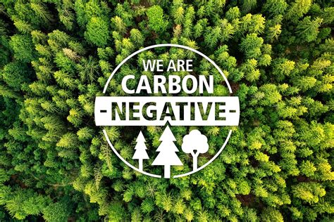 Norbord Carbon Negative Campaign - Impact Design & Marketing