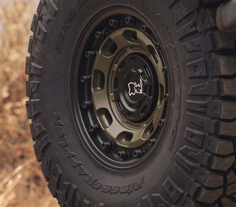 Truck and SUV Wheels and Rims | Black Rhino