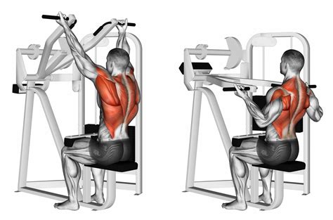 Lat Pulldown Muscles