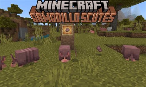 How to Get Armadillo Scutes in Minecraft 1.21 | Beebom