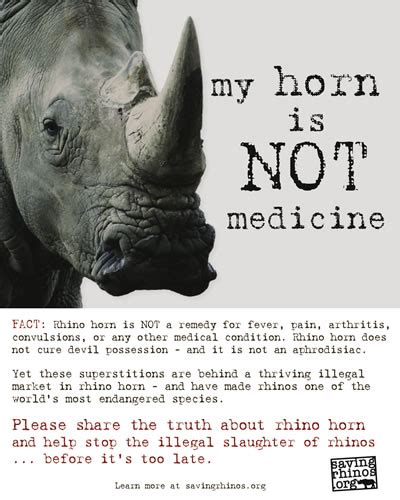 Free Rhino Poaching Awareness Poster: "My Horn is NOT Medicine" | Rhino ...