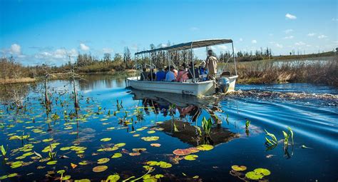 Okefenokee Swamp Park