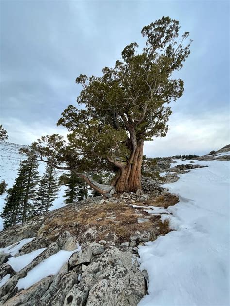 Winter Backpacking at Echo Lake, CA : r/backpacking