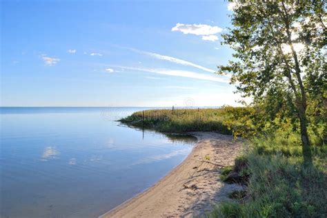 Lake Chany stock image. Image of tree, bathing, russia - 148720243