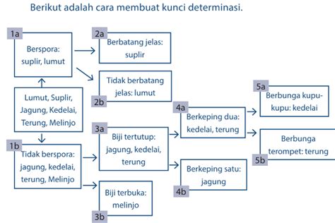 Cara Klasifikasi Makhluk Hidup Menurut Carolus Linnaeus